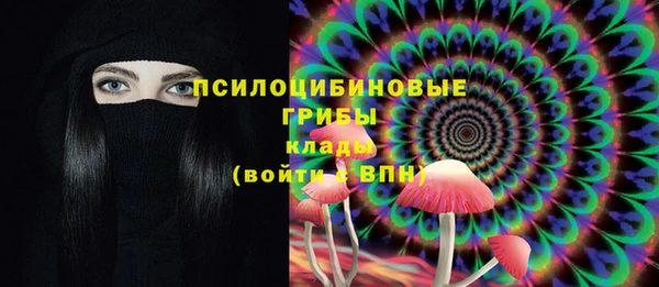 прущая мука Верхний Тагил