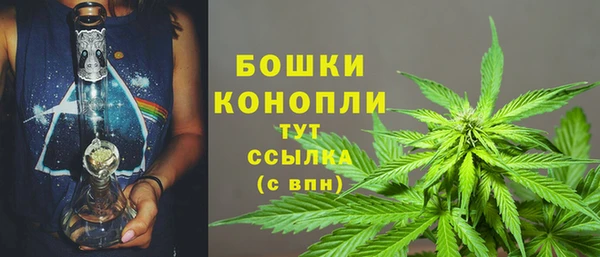 ПСИЛОЦИБИНОВЫЕ ГРИБЫ Пересвет