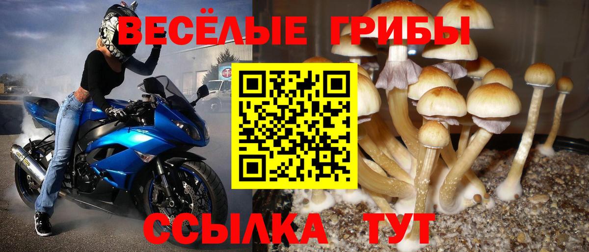 Северск  Галлюциногенные грибы Magic Shrooms  Вход с VPN  Галлюциногенные грибы GOLDEN TEACHER 