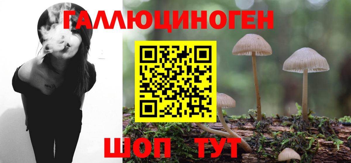 Галлюциногенные грибы GOLDEN TEACHER Северск